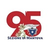 CAI 95